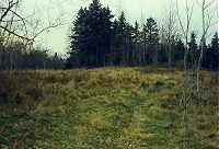 One of two cleared meadow areas.