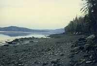 Two-thousand feet of estuary shoreline