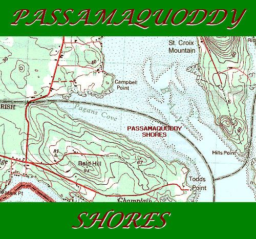 Passamaquoddy Shores: 79 acres, 2000 feet of estuary shore frontage