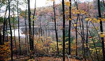 Welch Pond: an ancient, fragile and unusual wetland and bog in jeopardy from encroaching development.